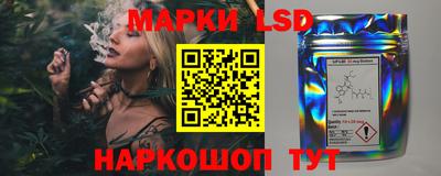 гидропоника Гатчина