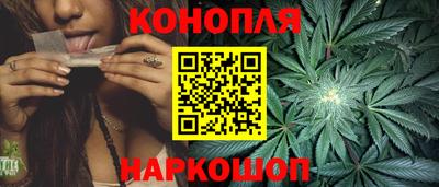 шишки Гусиноозёрск